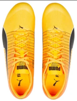 PUMA Unisex EvoSPEED Tokyo Brush 4 Track Spike -Saucony Store PumaUnisexevoSPEEDTokyoBrush4 5