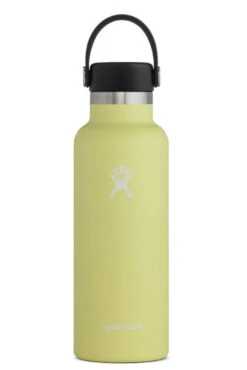 Hydro Flask 18 Oz Standard Mouth Bottles W/ Flex Cap (S18SX) -Saucony Store s18sx pineapple