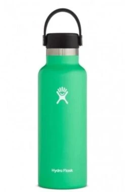 Hydro Flask 18 Oz Standard Mouth Bottles W/ Flex Cap (S18SX) -Saucony Store s18sx2 spearmint